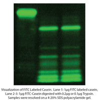 HOOK™ Dye Labeling Kit (FITC) for Labeling Antibodies & Proteins with Fluorescent Dyes, G-Biosciences