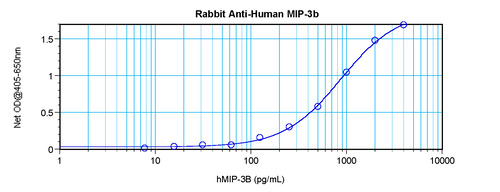MIP-3B Antibody
