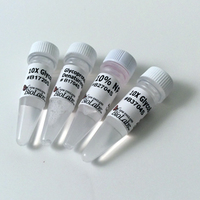 Endoglycosidase Reaction Buffer Pack, New England Biolabs