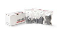 Ward's® Coals, Set Of 4