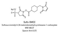 Sulfo-SMCC (3-Sulfo-N-succinimidyl-4-(N-maleimidomethyl)cyclohexane-1-carboxylate sodium salt), Premium Grade, Pierce™