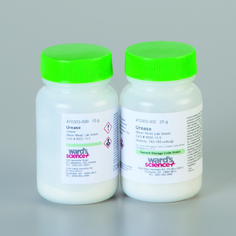 Urease | Chemicals for Science Education