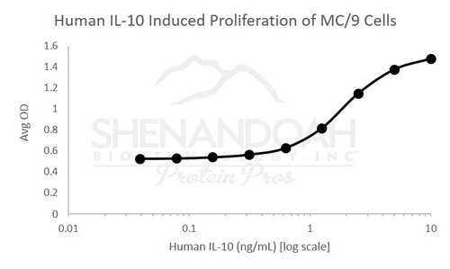 Human Recombinant IL-10 (from <i>E. coli</i>)