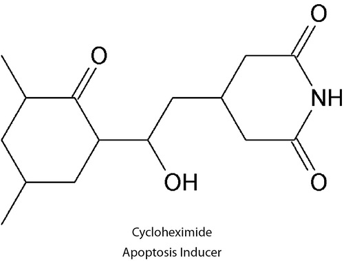 Cycloheximide 100 mM