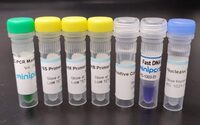 miniPCR® eDNA Project: Sampling Soil for Antibiotic Resistance