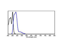 Anti-DYKDDDDK Mouse Monoclonal Antibody (DyLight® 405) [clone: 29E4.G7]