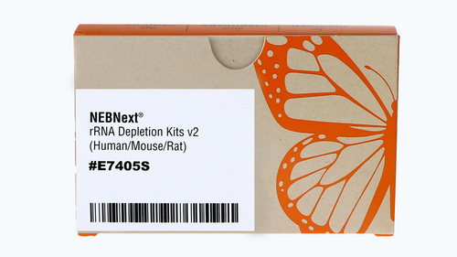 NEBNext rRNA Depletion Kit v2 (Human, Mouse, Rat) with RNA Sample Purification Beads, New England Biolabs