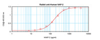 Anti-PPBP Rabbit Polyclonal Antibody