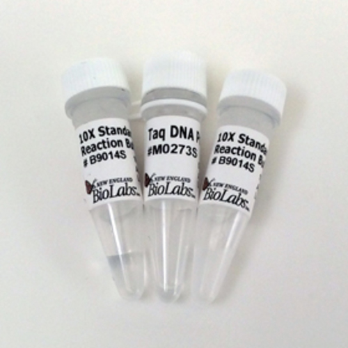 Taq DNA Polymerase with Standard Taq Buffer, New England Biolabs