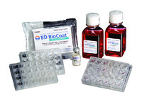 BioCoat™ HTS Caco-2 Assay Systems, PET Membrane, Corning