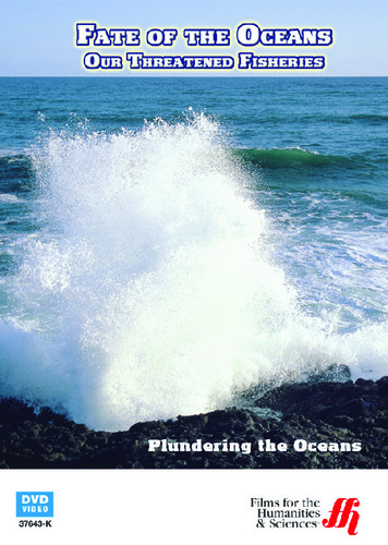 PLUNDERING OCEANS DVD
