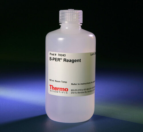 B-PER Bacterial Protein Extraction Reagent 165ml