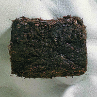 Ward's® Coal (Peat)