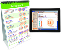 NewPath® Life Science Skill Builder Flip Charts with Multimedia Lessons