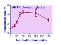 EnzyFluo™ AMPK Phosphorylation Assay Kit, BioAssay Systems