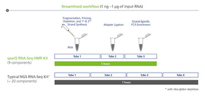 sparQ RNA-Seq HMR Kit workflow