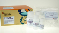 Monarch® RNA Cleanup Kits (500 μg), New England Biolabs