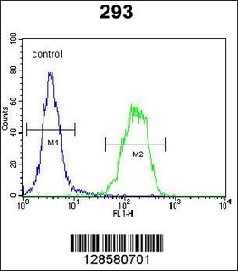 Anti-C1QTNF9B-AS1 Rabbit Polyclonal Antibody (HRP (Horseradish Peroxidase))