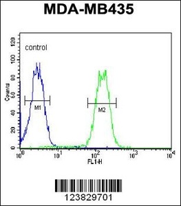 Anti-LYRM4 Rabbit Polyclonal Antibody (PE (Phycoerythrin))
