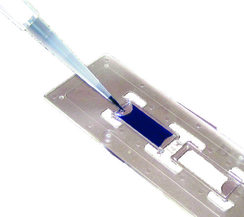 INCYTO C-Chip™ Disposable Hemacytometers, SKC