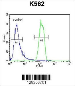 Anti-OR2M3 Rabbit Polyclonal Antibody (PE (Phycoerythrin))