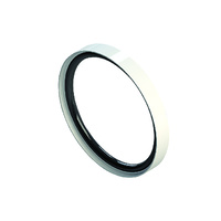 Glass to Glass Gasket, NW Flange, Ace Glass