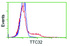 Anti-TTC32 Mouse Monoclonal Antibody [clone: OTI5B4]