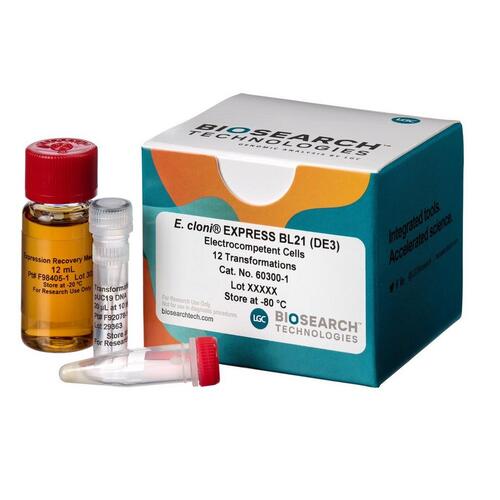 <i>E. cloni</i>® EXPRESS BL21 (DE3) Competent Cells, Biosearch Technologies
