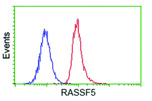 Anti-RASSF5 Mouse Monoclonal Antibody [clone: OTI1H2]