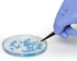 SP Bel-Art Sterile Cloning Discs, Bel-Art Products, a part of SP