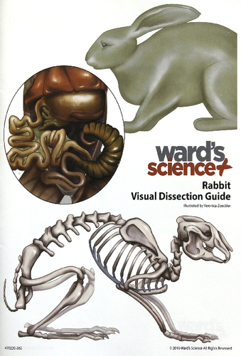 RABBIT VISUAL DISSECTION GUIDE EACH