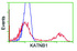 Anti-KATNB1 Mouse Monoclonal Antibody [clone: OTI5H6]