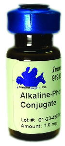 Alkaline Phosphatase Conjugated Antibody