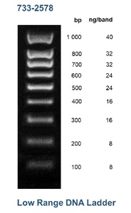 Low range DNA ladder, 100 to 1000 bp