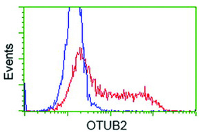 Anti-OTUB2 Mouse Monoclonal Antibody [clone: OTI11C8]
