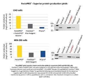 FectoCHO™ Protein production CHO + HEK cells