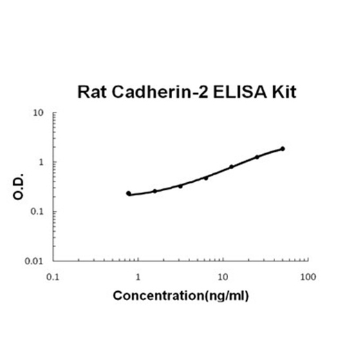 RAT CADHERIN-2 PICOKINE ELISA KIT