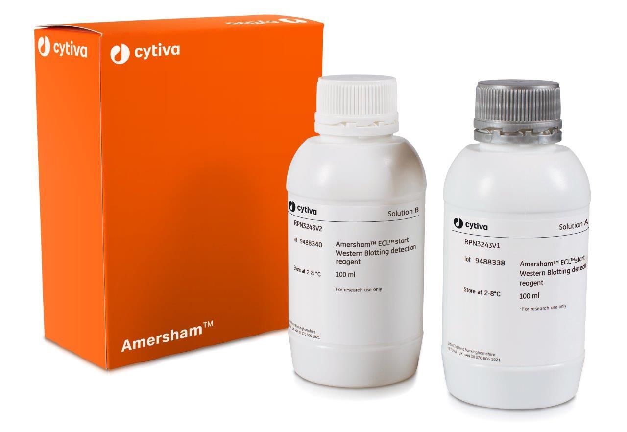 Amersham ECL Western Blotting Start Detection Reagents, Cytiva