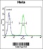 Anti-SIK3 Rabbit Polyclonal Antibody (FITC (Fluorescein Isothiocyanate))