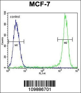 Anti-KSR2 Rabbit Polyclonal Antibody (PE (Phycoerythrin))