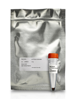 Amersham™ CyDye™ Value Packs (Mono-Reactive Hydrazide), Cytiva