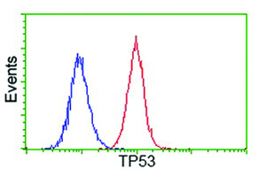 Anti-TP53 Mouse Monoclonal Antibody [clone: OTI2E4]
