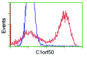 Anti-C1orf50 Mouse Monoclonal Antibody [clone: OTI1B11]