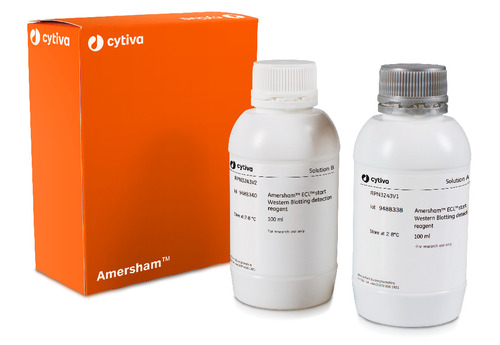 Amersham ECL Western Blotting Start Detection Reagents, Cytiva