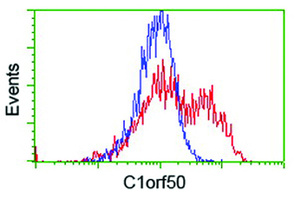 Anti-C1orf50 Mouse Monoclonal Antibody [clone: OTI1C6]
