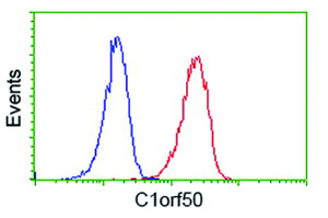 Anti-C1orf50 Mouse Monoclonal Antibody [clone: OTI1B11]