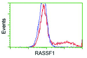 Anti-RASSF1 Mouse Monoclonal Antibody [clone: OTI2B11]
