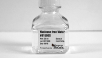 Monarch® RNA Cleanup Kits (10 μg), New England Biolabs