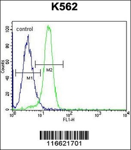 Anti-NLK-T286 Rabbit Polyclonal Antibody (AP (Alkaline Phosphatase))