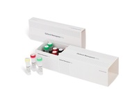 cDNA-PCR Sequencing Kits, Oxford Nanopore Technologies